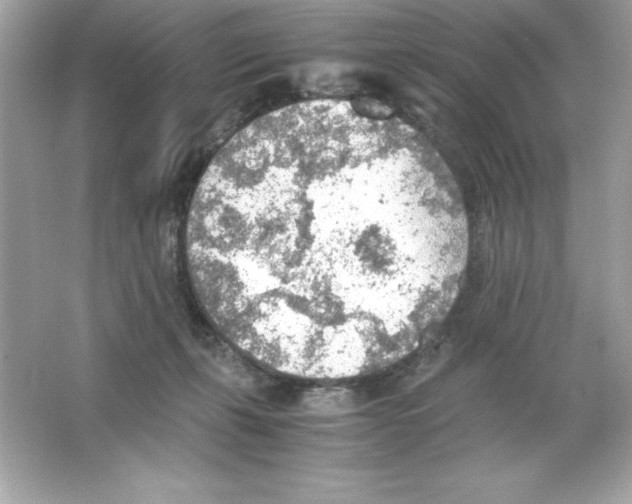 X0000065240271200603172146