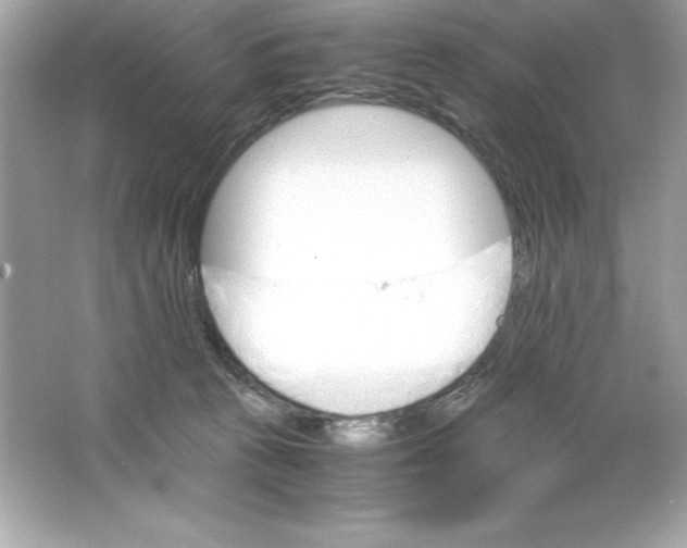 X0000065240273200603172146