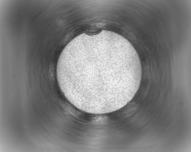 X0000065240274200603172146