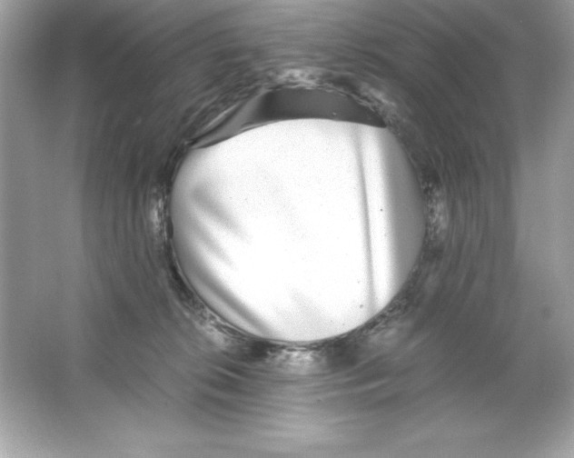 X0000065240276200603172146