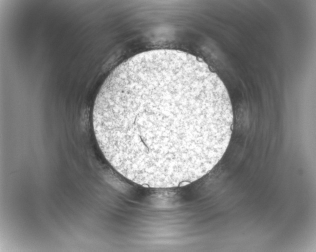 X0000065240278200603172146