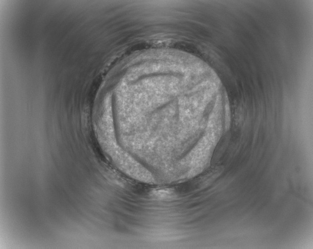 X0000065240283200603172146