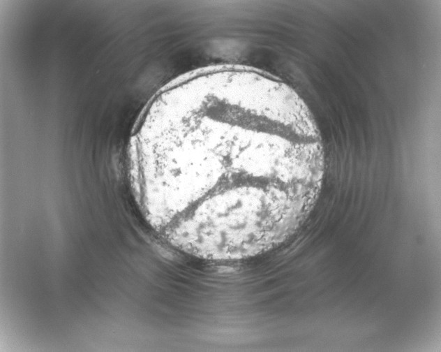 X0000065240285200603172146