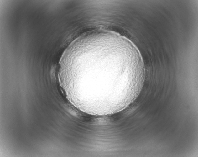X0000065240286200603172146