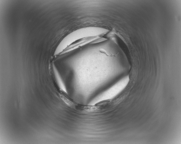 X0000065240288200603172146