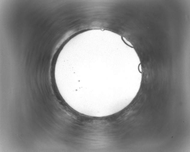 X0000065240292200603172145