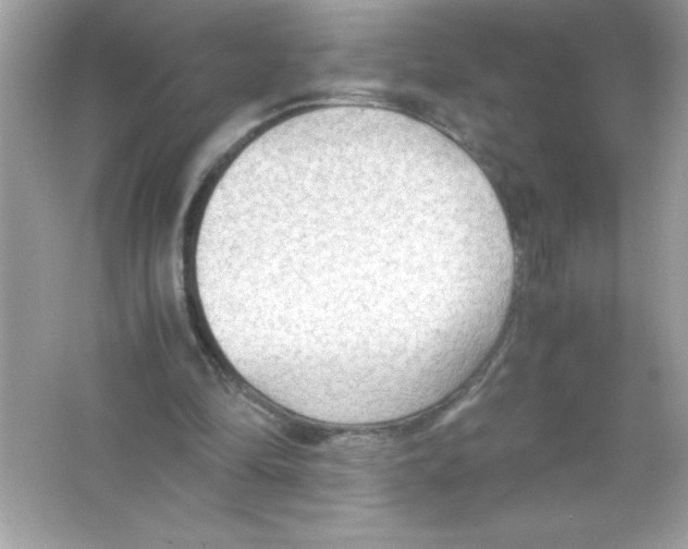 X0000065240294200603172145