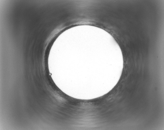 X0000065240296200603172145