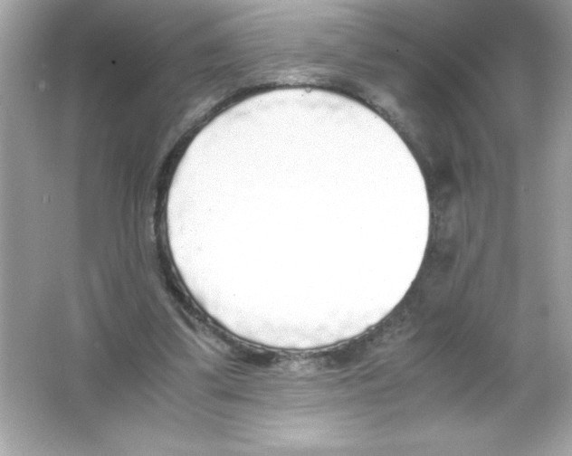 X0000065240299200603172145