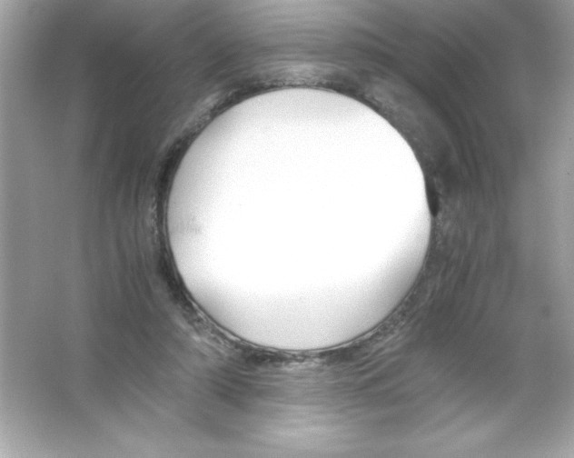 X0000065240306200603172145