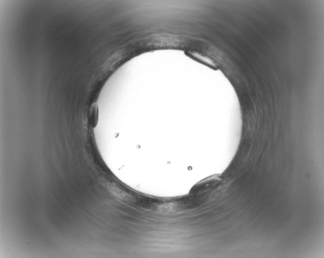 X0000065240309200603172145