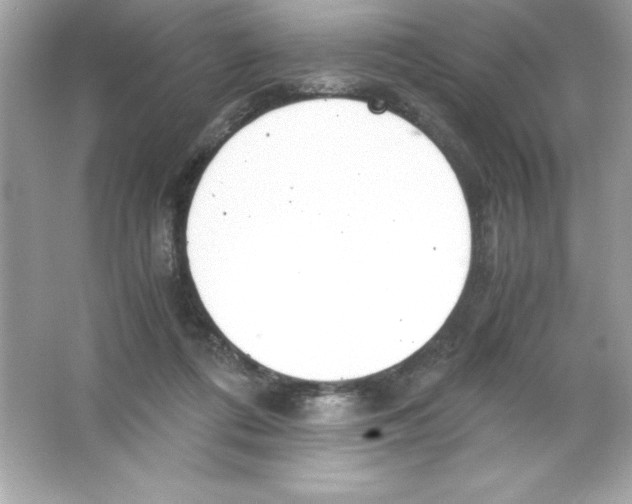 X0000065240312200603172145