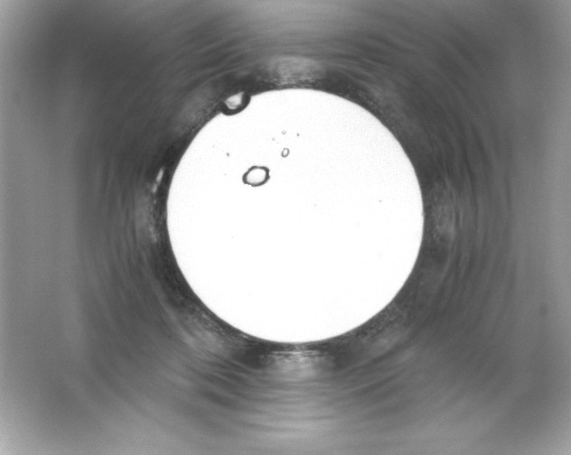 X0000065240316200603172145