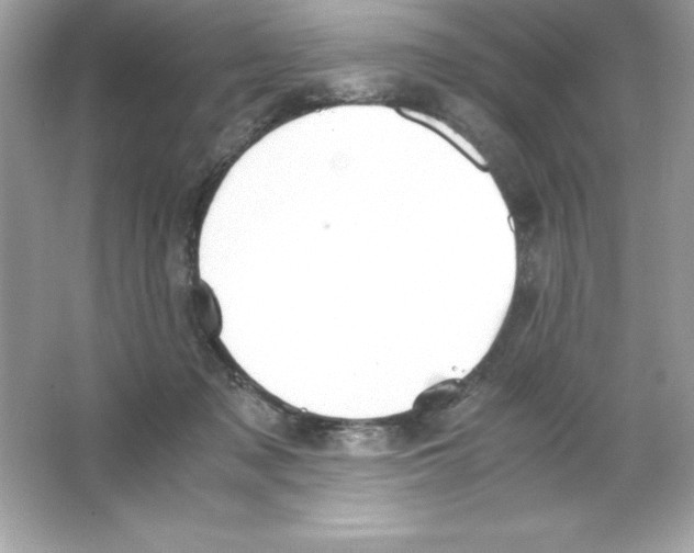 X0000065240317200603172145