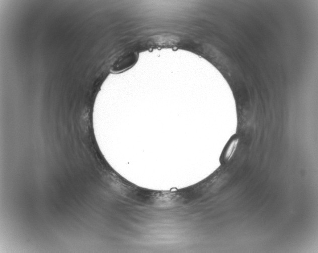 X0000065240321200603172145