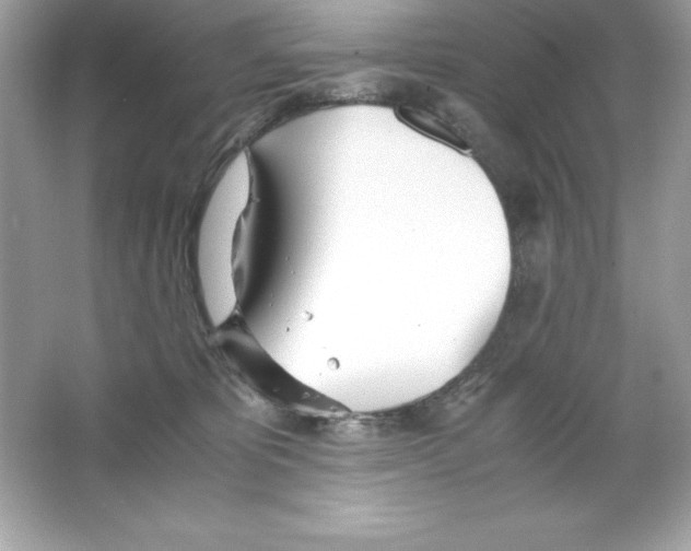 X0000065240325200603172145