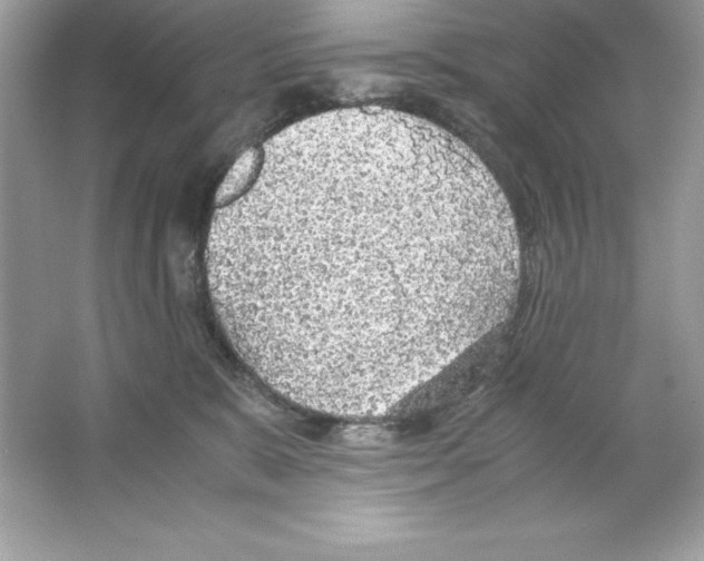 X0000065240327200603172145