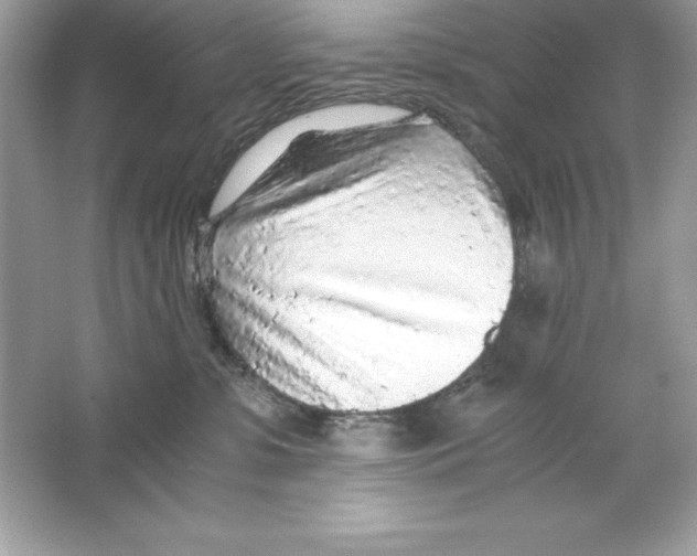 X0000065240331200603172145