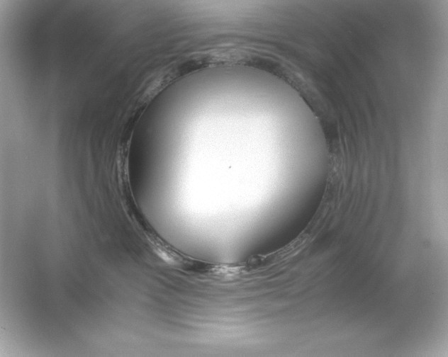 X0000065240333200603172145