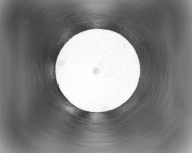 X0000065240336200603172145