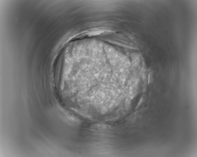 X0000065240339200603172144
