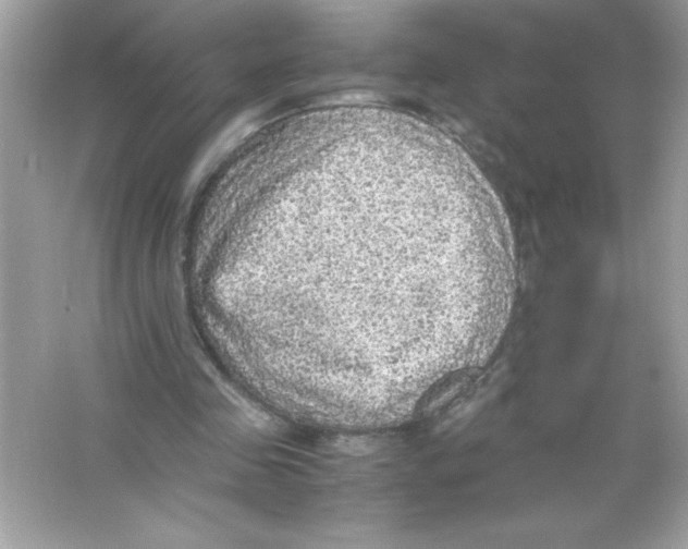 X0000065240341200603172144