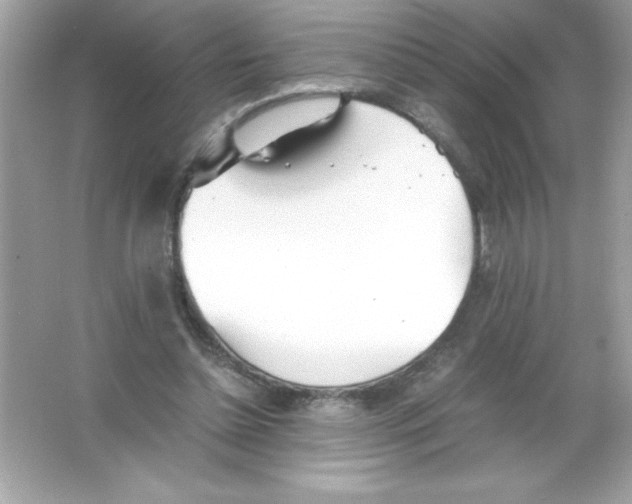 X0000065240348200603172144