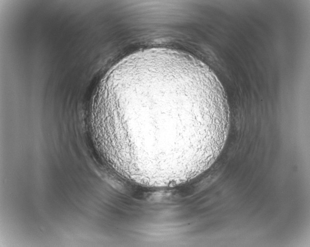 X0000065240366200603172144