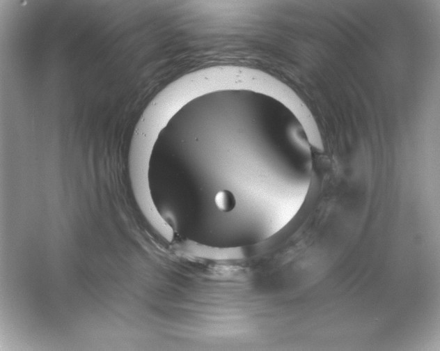 X0000065240380200603172144