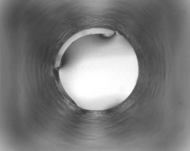 X0000065240384200603172144