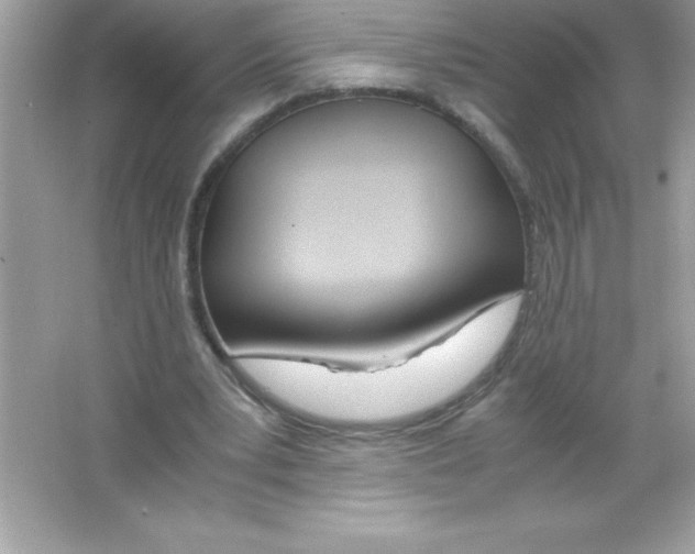 X0000065240391200603172144