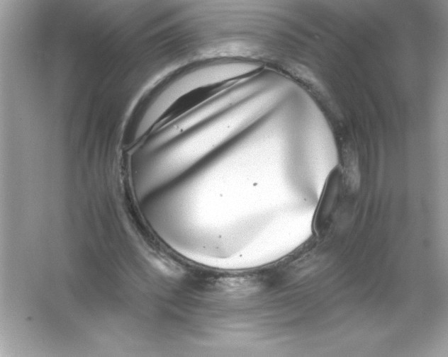 X0000065240392200603172144