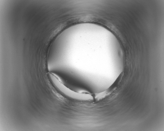 X0000065240393200603172144