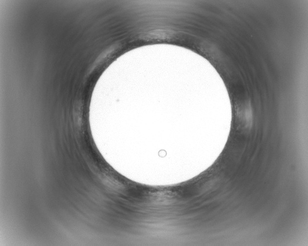 X0000065240396200603172143