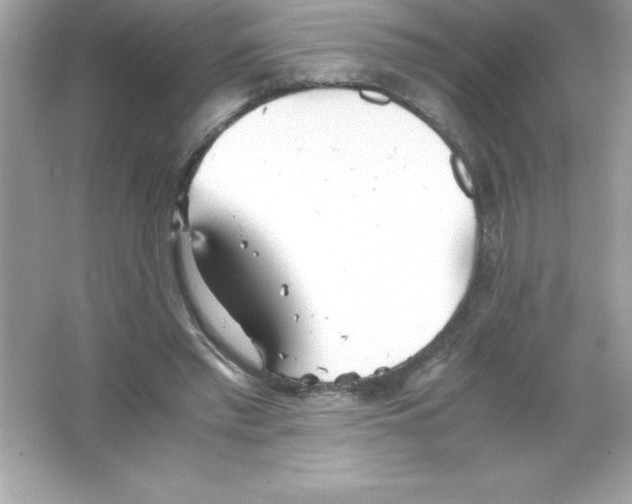 X0000065240397200603172143