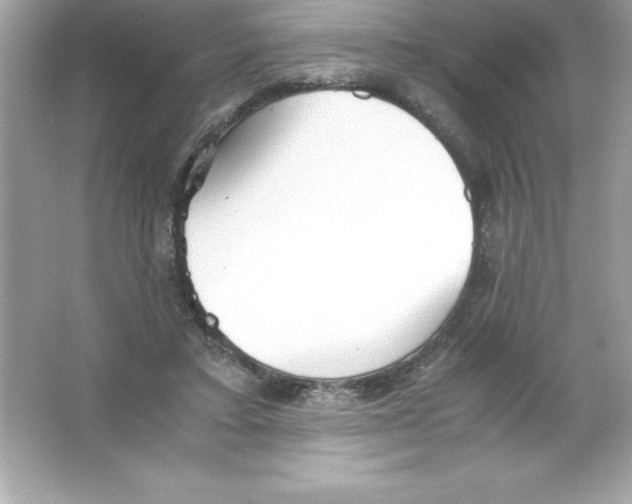 X0000065240403200603172143
