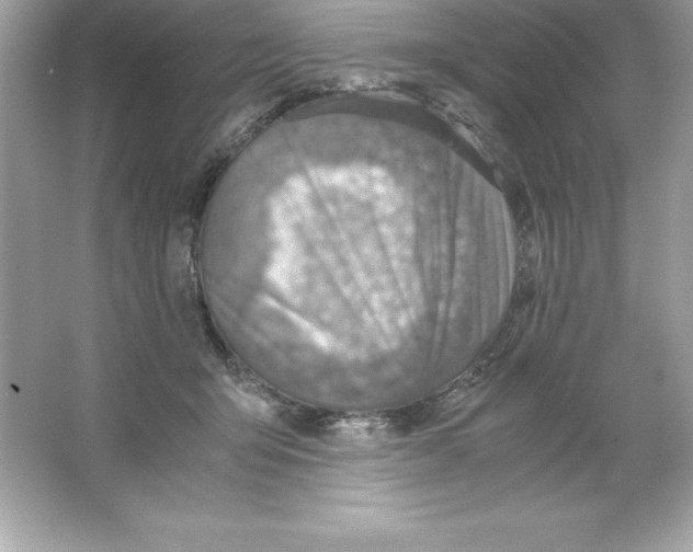 X0000065240415200603172143