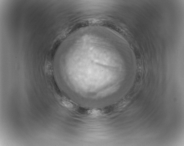 X0000065240419200603172143