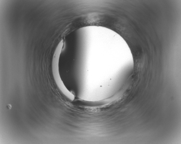 X0000065240421200603172143