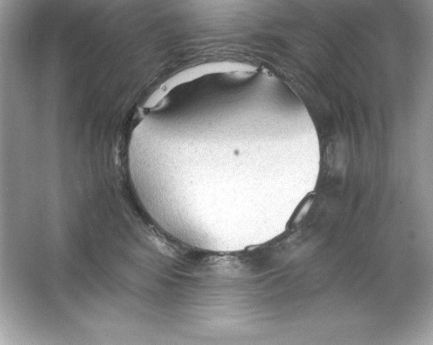 X0000065240424200603172143