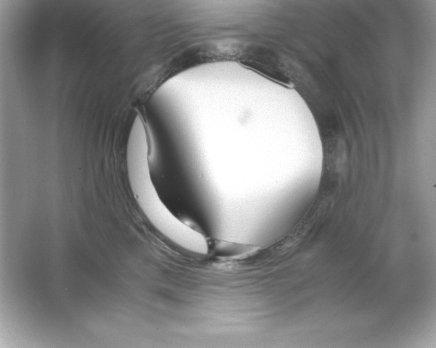 X0000065240425200603172143