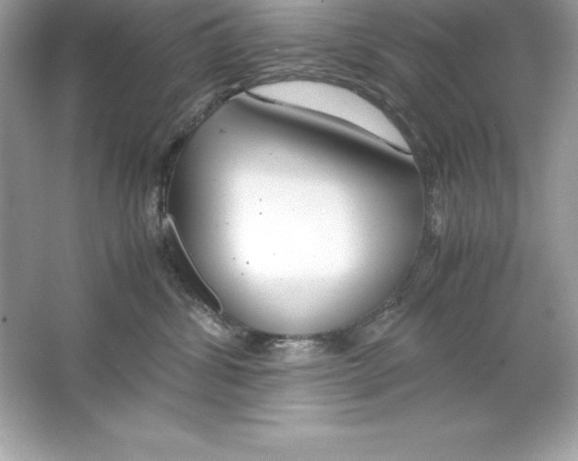 X0000065240428200603172143