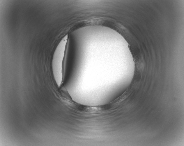 X0000065240429200603172143