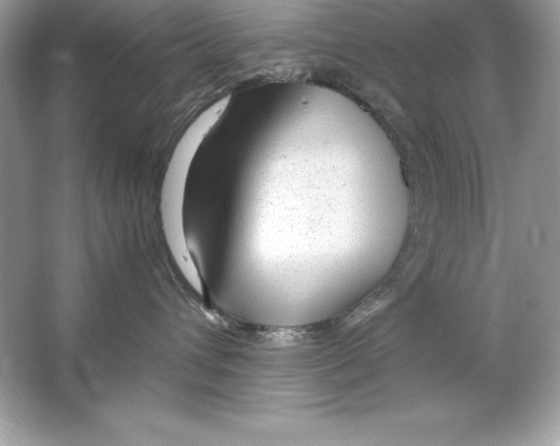 X0000065240432200603172143