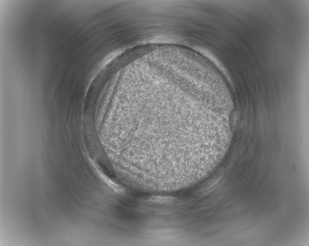 X0000065240437200603172142