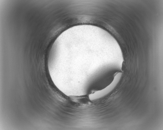 X0000065240442200603172142