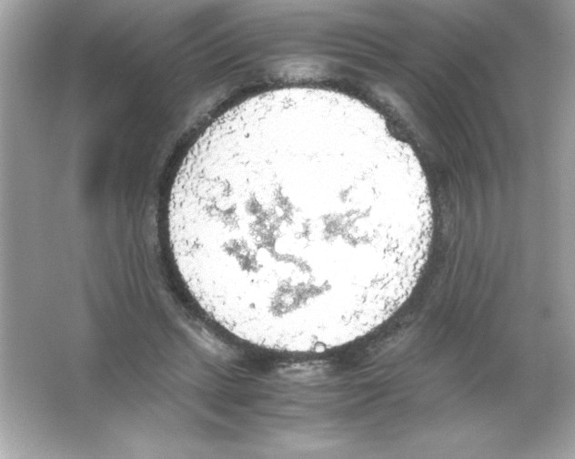 X0000065240447200603172142