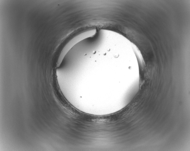 X0000065240448200603172142