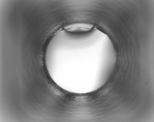 X0000065240450200603172142