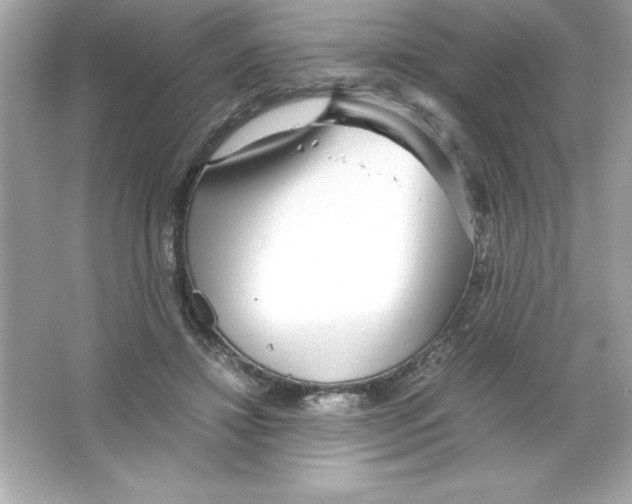 X0000065240452200603172142
